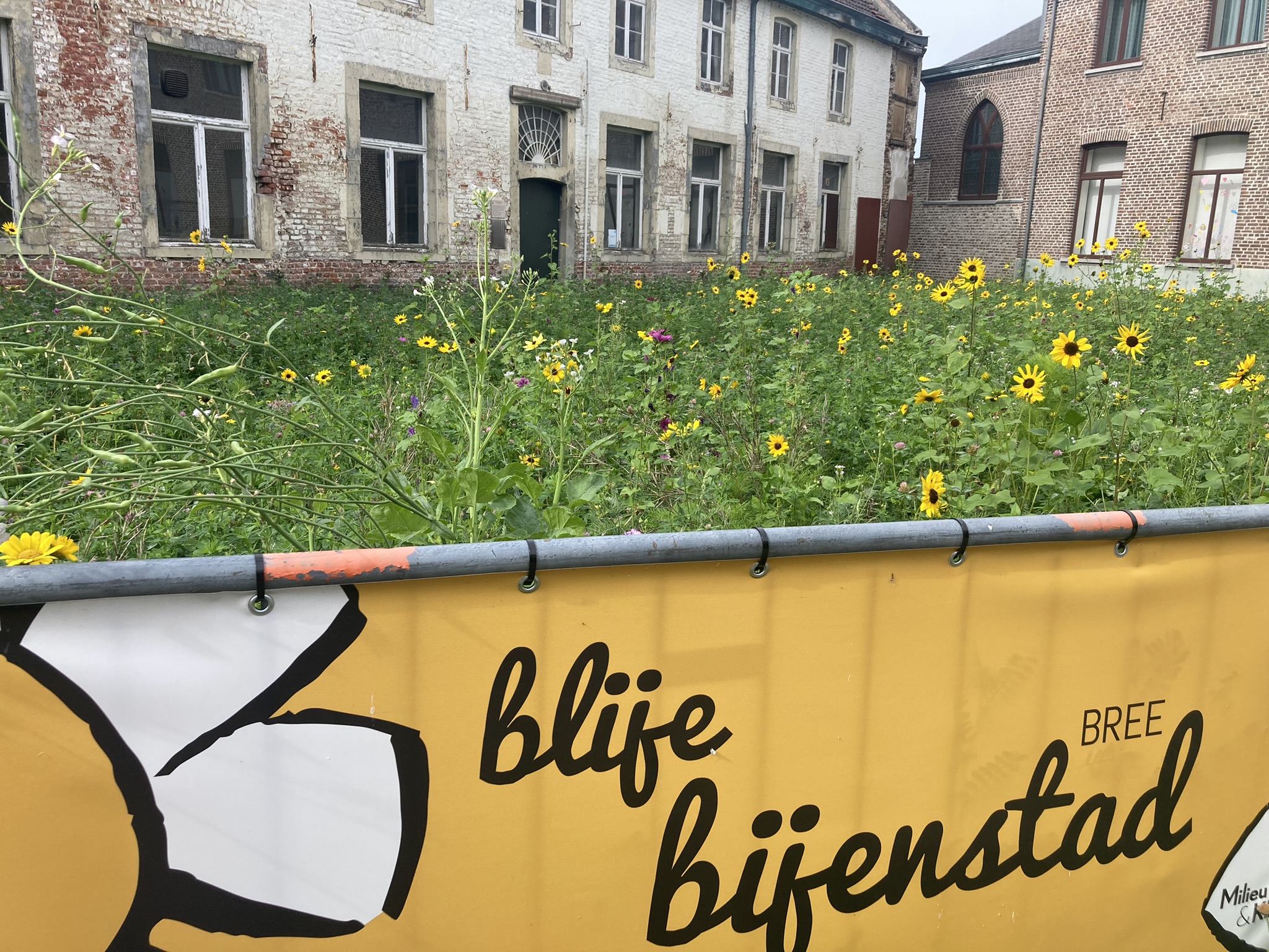 Bloemenweide hof van de deken