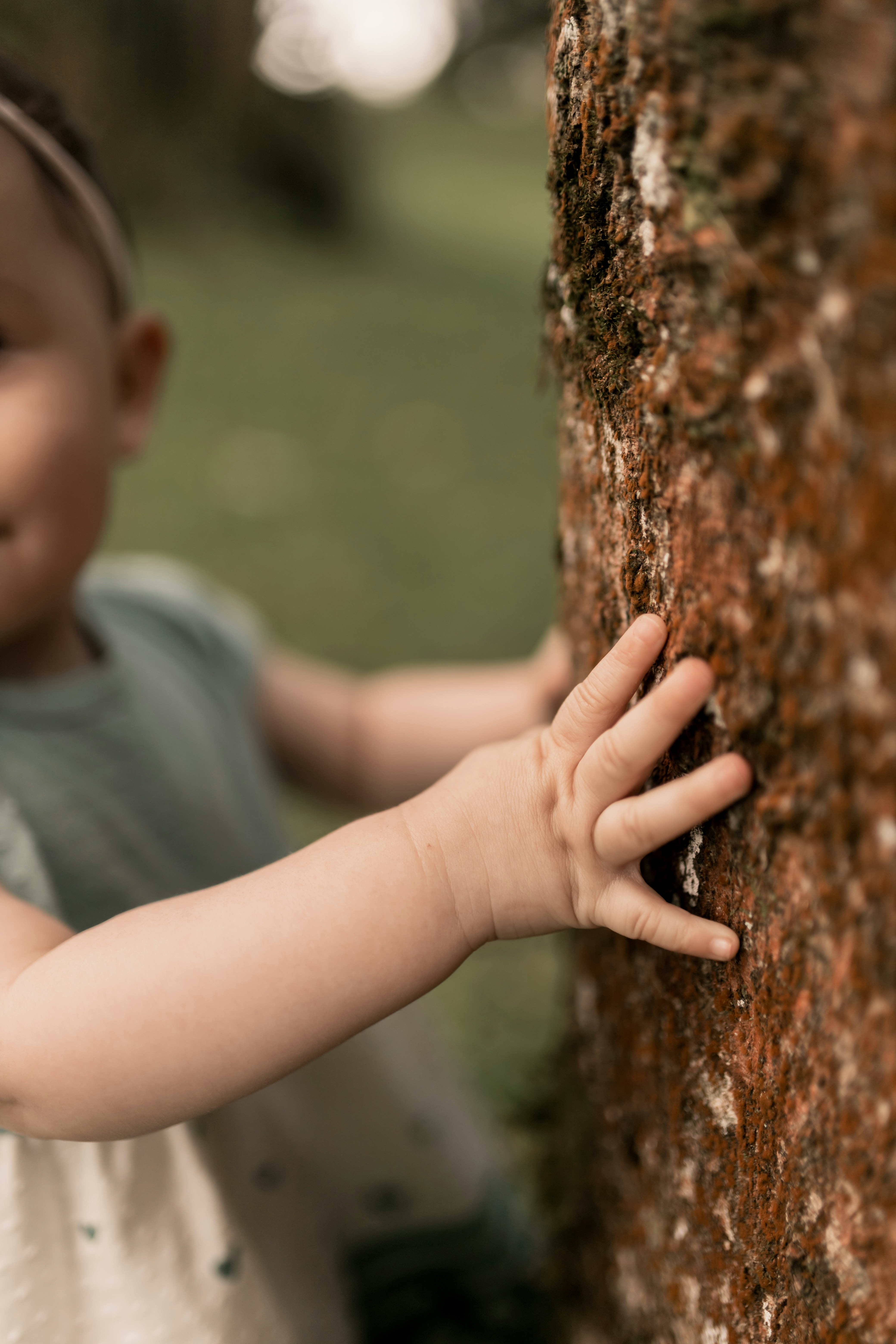 Beeld geboorteboom