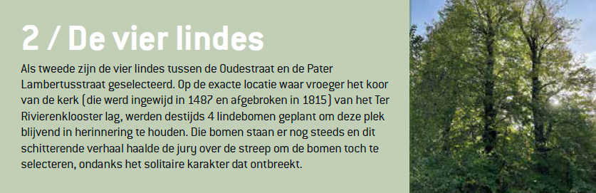 Beeld