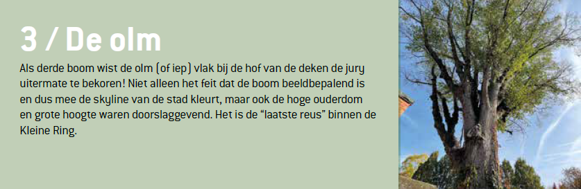 Beeld