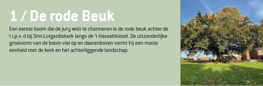 Beeld
