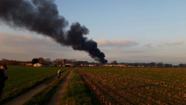 brand