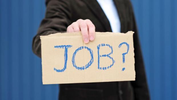 job?