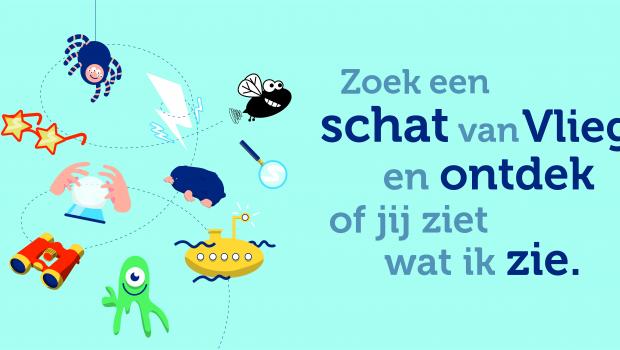 schatten van vlieg