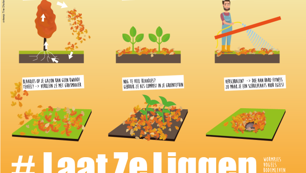 laatzeliggen