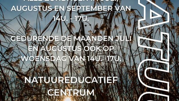 uitn