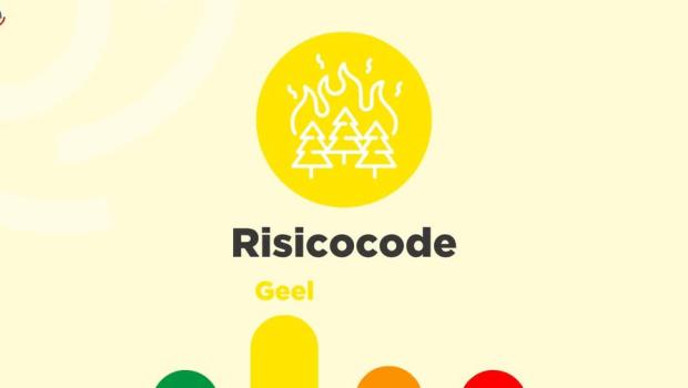 beeld