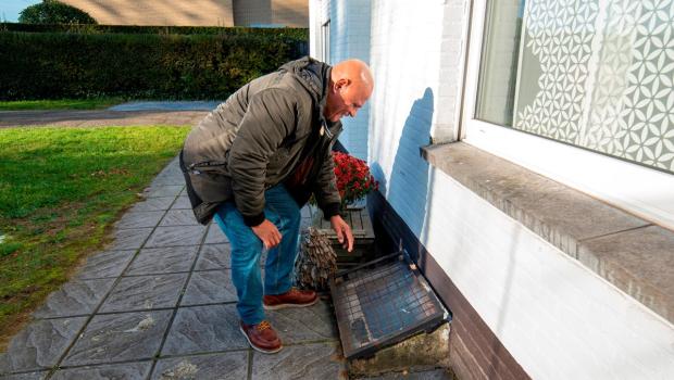 beeld