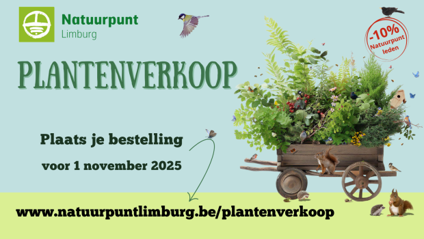 beeld