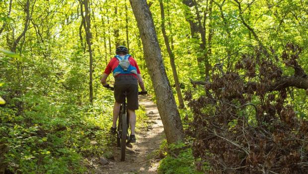 mountain bike