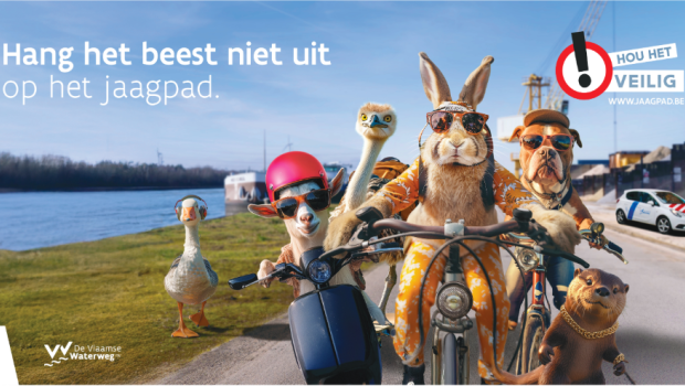 beeld