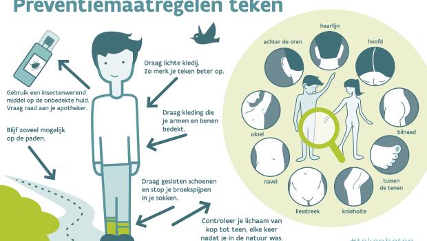 beeld