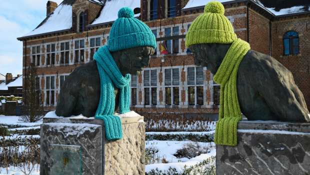 beeld
