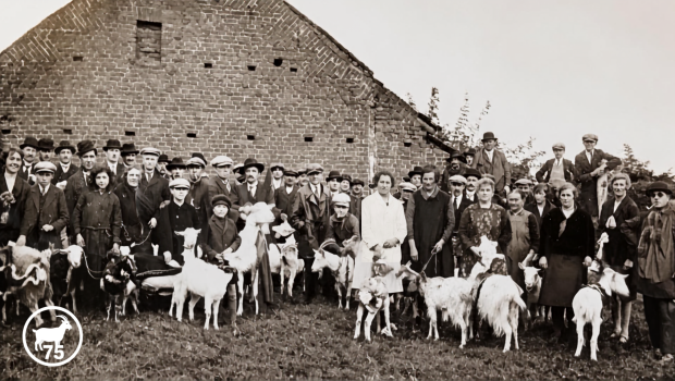 geiteboeren