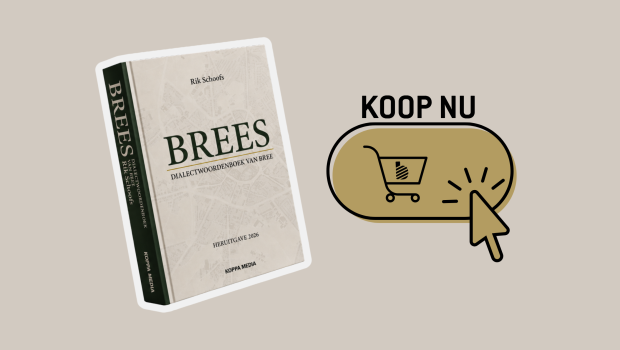 dialectboek