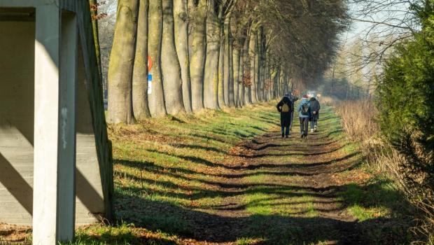 wandelen