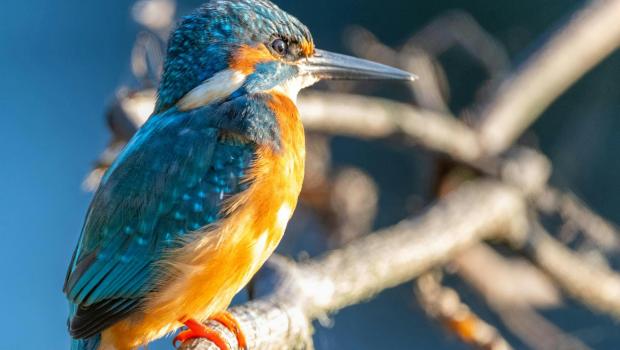 Welkom in Natuur.huis Mariahof © Patrick Bosmans