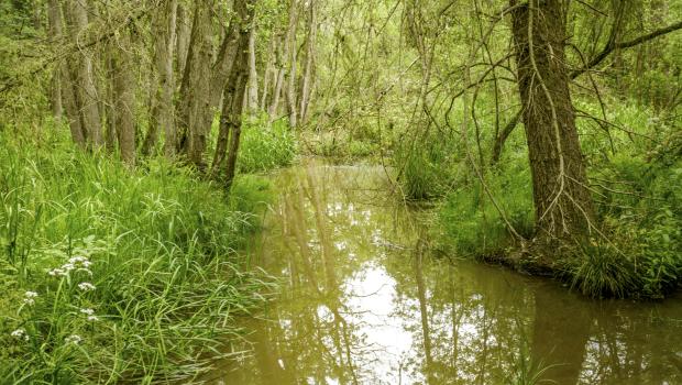 De natuur spreekt – op pad met de conservator in de Itterbeekvallei © Jos Vandebergh, Limburgs Landschap vzw
