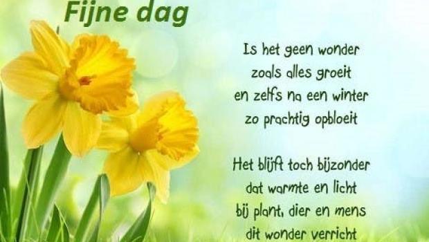 Rust vinden in kleuren: mini-mandala's © Fijne dag