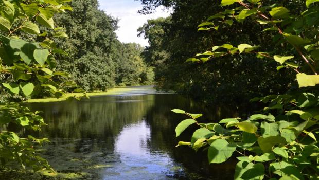 oud kanaal