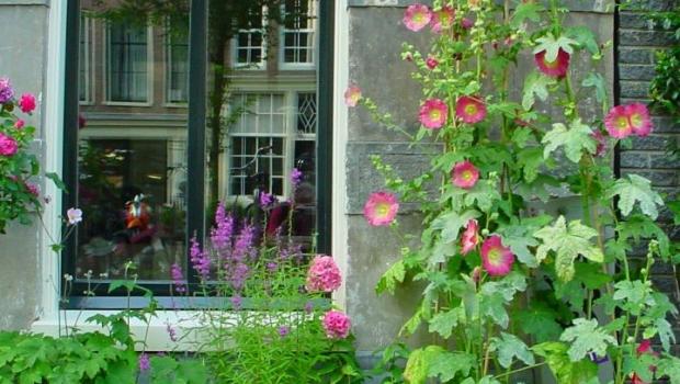 geveltuin